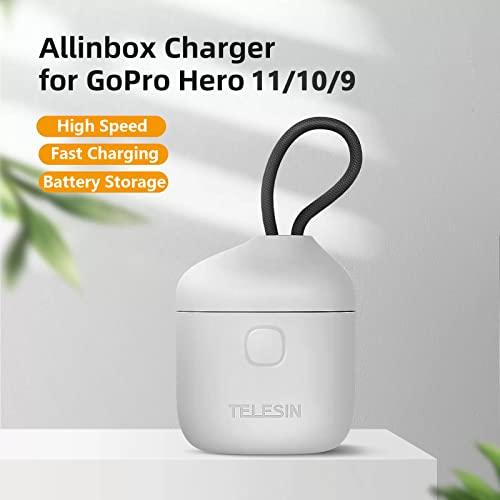 TELESIN 2-Pack Batteries and Allin Box Battery Charger Bundle for GoPro HERO11 HERO10 HERO9 with SD Card Reader Waterproof Storage Carry Case GP-BTR-905-GY-B, HERO11/10/9